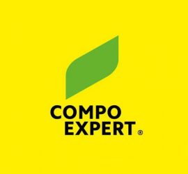 logo-compo expert