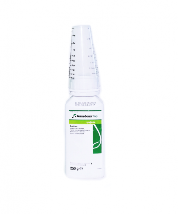 Amadeus TOP Syngenta